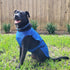 Dog Cooling Vest, Lightweight Jacket with Evaporative Cool Microfiber Technology for Dogs