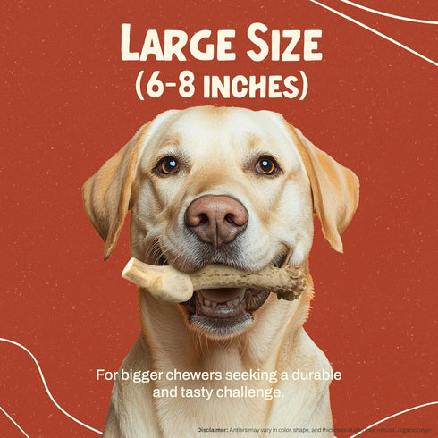 Heartland Deer Antlers for Dogs - Daily Dental Care Chews for Aggressive Chewers, Large, 1-Pack