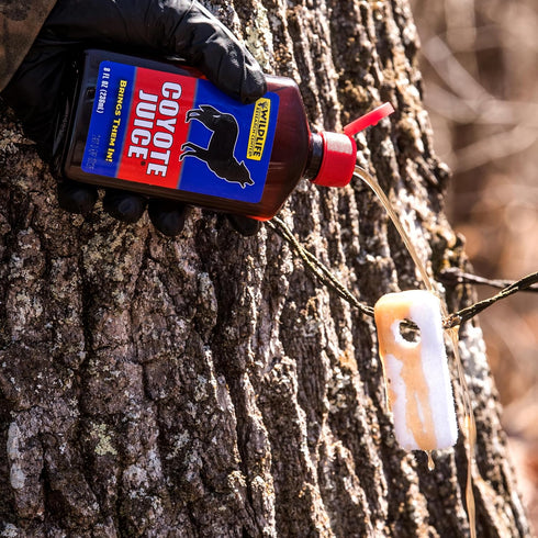 Setups, 8 OZ WILDLIFE RESEARCH CENTER Coyote Juice, Predator Calling Scent for Realistic Appeals to Territorial