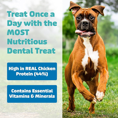 Dog Dental Treats | Removes Tartar - Vet VOHC Approved | Yummy Treat for Teeth Cleaning - Chicken Protein | for Extra