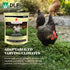 5LB DLF Chicken Max Forage Seed Mixture for Chickens, Poultry, and Farms Layer Mix with Clover, Ryegrass, Buckwheat