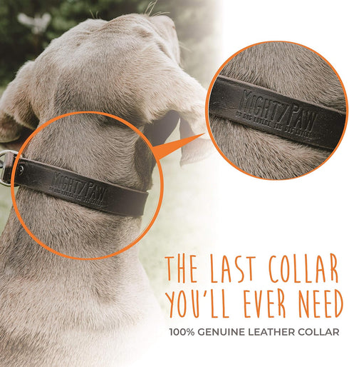 Mighty Paw Martingale Dog Collar - No Pull Design, Stainless Steel Chain, Brown Leather Martingale Training Collar