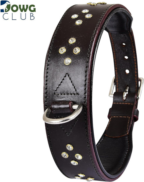 Genuine Leather ‘Cupola’ Series Dog Collar, Rhinestone, Soft Cushion Padding, Handmade (M, Neck Size 14.5"-18.5",