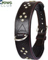 Genuine Leather ‘Cupola’ Series Dog Collar, Rhinestone, Soft Cushion Padding, Handmade (M, Neck Size 14.5"-18.5",