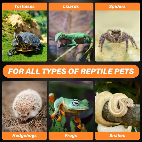 75W 2-Pack, Bulbs Simple Deluxe Ceramic Heat Emitter Reptile Heat Lamp No Light Emitting Heat for Amphibian Terrarium