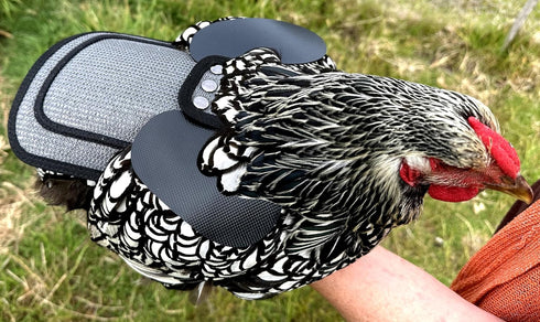 DOWN UNDER OUTDOORS Chicken Saddle with Adjustable Straps for Medium and Large Hens, Chicken Apron, Poultry Saver, Pet
