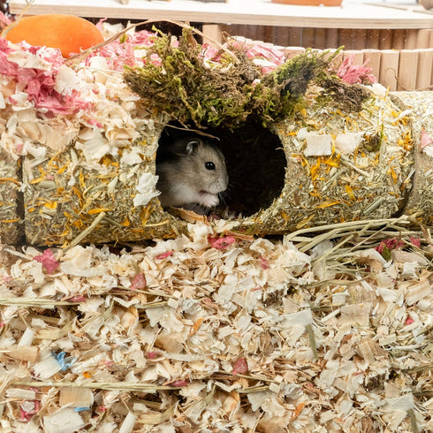 Niteangel Creative Hamster Tunnel - DIY Build Unique Tube Burrow for Small Animals Like Hamsters and Mice