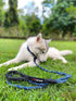 Sentry Heavy Duty Rope Dog Leash - 6 Foot Reflective Leash with Lockable Metal Carabiner for Medium & Large Dogs