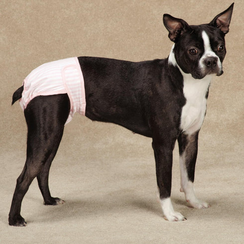 ClearQuest 2-Pack Clear Quest Wetness and Stain Protecting Dog Cover-Ups Dog Diapers