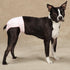 ClearQuest 2-Pack Clear Quest Wetness and Stain Protecting Dog Cover-Ups Dog Diapers