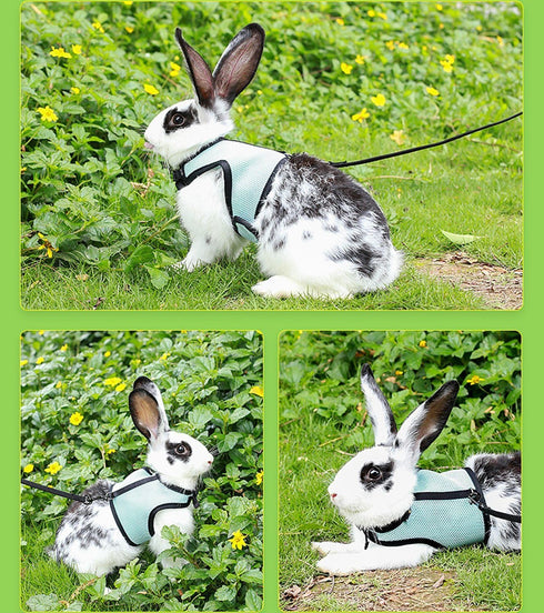 Hypeety Rabbit Kitten Harness Cat Leash for Small Animal Adjustable Soft Harness and Lead Set (M: Chest 7.09"-9.84",