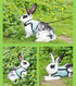 Hypeety Rabbit Kitten Harness Cat Leash Set for Small Animal, Adjustable Soft Harness and Lead for Bunny Cat Walking