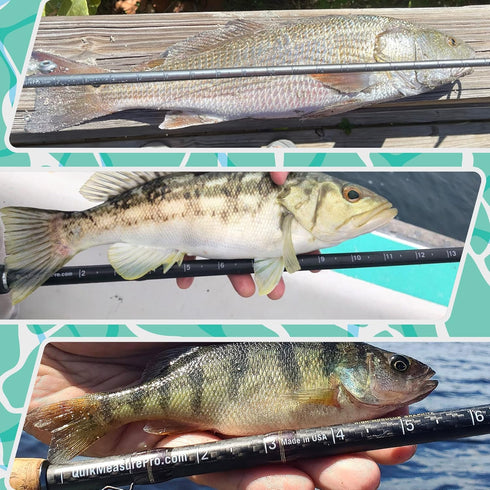 Fishing Ruler Decal 2-Pack | 36” Transparent Rod Fish Measuring Sticker | Stick-On Fish Measurement for All Rod Types |