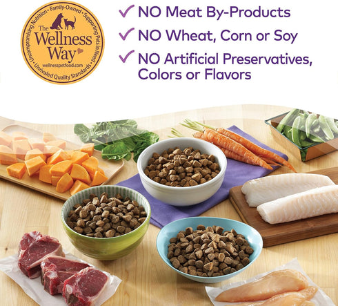 Wellness Complete Health Dry Dog Food with Grains, Natural Ingredients, 5-Pound Bag, Chicken & Potatoes