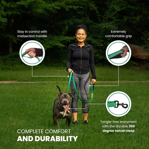 Heavy Duty 6ft Dog Leash with Padded Double Handles for Training & Walking, Reflective Stitching