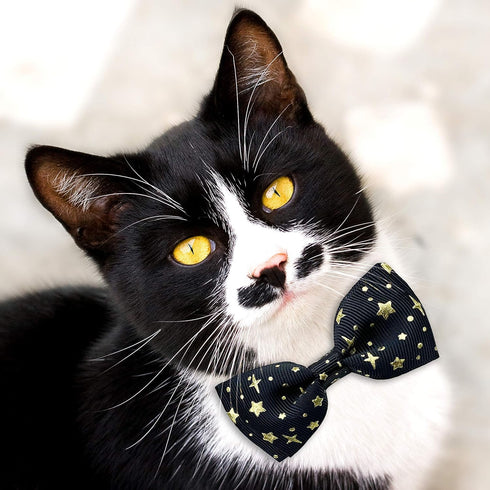 2 Pack Cat Collar with Bow Tie and Bell, Breakaway Starshine Collar for Male Female Cats (Black+Purple)