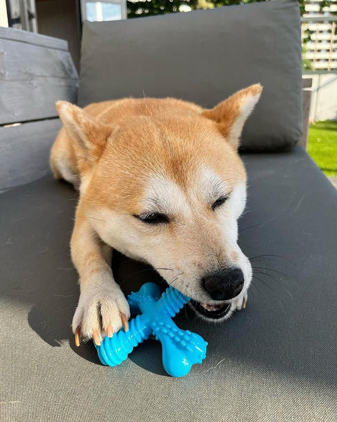 Nylabone Comfort Hold X-Bone Power Chew Toy for Dogs - Beef Flavor, Small, for Aggressive Chewers, Up to 25 lbs, 1 Count