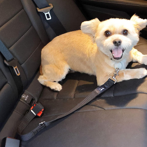2 Pack, Mr. Pen- Adjustable Dog Seat Belt for Car, Pet Safety Harness, Car Leash