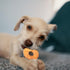 Fieldcrest Farms 3 Pack of Nothin' to Hide Chicken Rings and Bones, 12 Count Each, Rawhide Alternative Chews