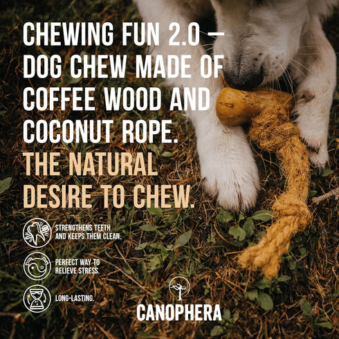 Dog CHEW Made of Coffee Wood and Coconut Rope - Xtra Large, 2 Pack