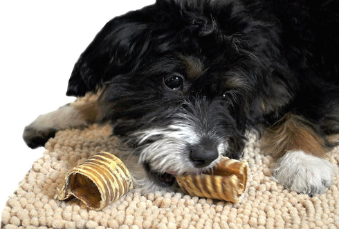 Downtown Pet Supply Beef Trachea Dog Treats - Rawhide-Free Chews, 3in - 12Ct