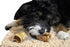 Downtown Pet Supply Beef Trachea Dog Treats - Rawhide-Free Chews, 3in - 12Ct