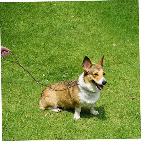 FOMIYES Dog Rope Walking Leash, Heavy Drawstring Leather Pet Supplies for Walking