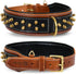 Spike Dog Collar | Spiky Series | Premium Genuine Bridle Leather, Heavy Duty, Padded for Medium, Large, XL Breeds