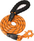 2/4/5/6FT Heavy Duty Dog Leash, Reflective Nylon with Aluminum Quick Release/Locking Clip for All Dog Sizes