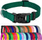 Country Brook Petz Dog Collar, American-Made, Medium, 3/4 Inch Wide, Deluxe Heavy Duty Nylon, Green