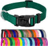 Country Brook Petz Dog Collar, American-Made, Medium, 3/4 Inch Wide, Deluxe Heavy Duty Nylon, Green