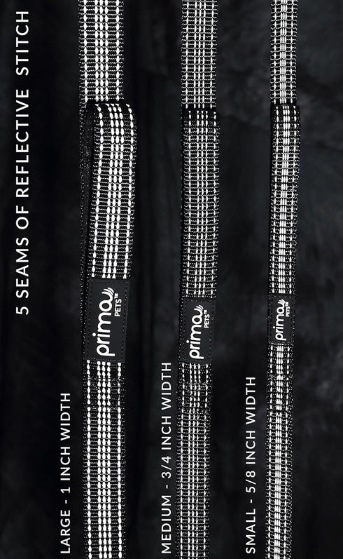 Reflective Nylon Leash for Dogs, 6 Feet Long, 1 Inch Width, Thick Neoprene Dual Handles