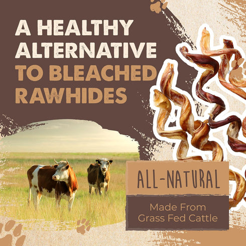 Mighty Paw Naturals Curly Bully Sticks for Dogs - Grass Fed Beef Chews, 6” Single Ingredient, 5 Pack