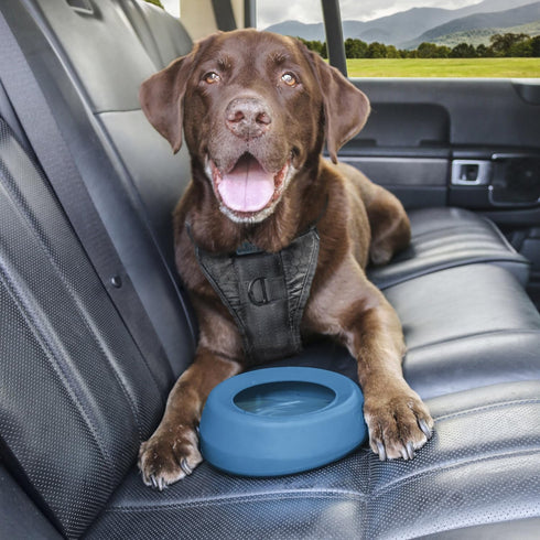 Kurgo Splash Free Wander Water Bowl - Portable No Spill Dog Travel Bowl, 24 ounces (Coastal Blue)