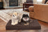 Furhaven Cooling Gel Dog Bed for Medium/Small Dogs | Removable Washable Cover, Up to 35 lbs - Chocolate