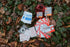 UST Learn & Live Outdoor Educational Kits with Waterproof Cards, Tools, and Watertight Case for Outdoor Survival