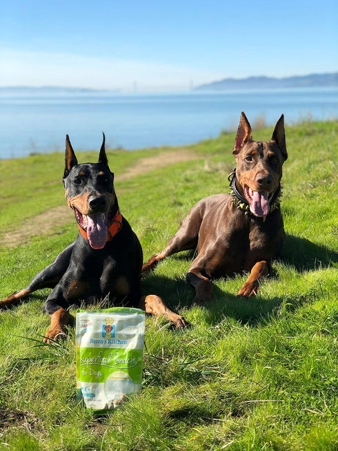 Freeze Dried Superfood Snacks for Dogs, Apple+Cinnamon, All Natural Dog Treat
