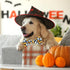 2023 New Halloween Dog Collar with Bow Tie for Boys and Girls, Small Medium Large Pets (Animal Print, Medium)