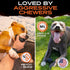 Monster K9 Indestructible Dog Ball - Medium & Large Breeds - Ultra Durable for Aggressive Chewers - 2.8in Solid