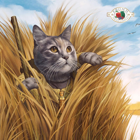 Fromm Four-Star Nutritionals Duck A La Veg Cat Food - Premium Dry Cat Food, Duck Recipe, 4 lb
