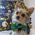 Huxley & Kent Bow Tie for Pets, Merry & Bright (Small), Christmas Holiday Velcro Bow Tie Attachment
