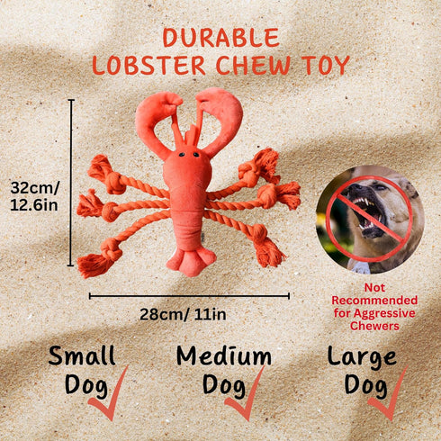 Lobster Dog Toy, Large Squeaky Toys, Tug of War Toy for Large Dogs, Interactive Plush Toy for Puppies and Dogs