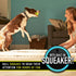 Set 3 Pack Franklin Pet Supply Co. Squeaky Dog Tennis Balls - Ready Fetch Dog Toy Tennis Balls with Squeaker - Perfect