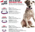 Tuff Pupper Martingale Collar for Dogs, Adjustable No Pull Training Collar, Gentle Nylon & Steel Chain, Large (18-26"