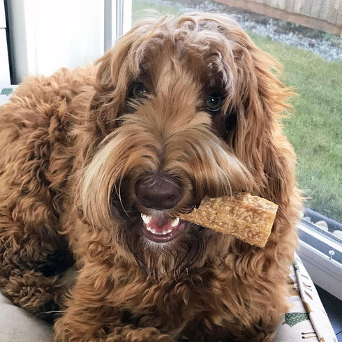 Happy Teeth Natural Cheese Dog Chews, Peanut Butter Flavor, Dental Chew, 2 Chews per Resealable Pouch
