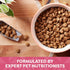 Nature's Recipe Grain Free Salmon, Sweet Potato & Pumpkin Dry Dog Food, 4 lb. Bag