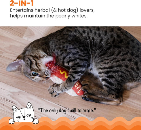 Catstages Hotdog Kicker Toy with Catnip and Dental Mesh, Hot Dog Shape, Plush and Feather Cat Toy for Kicking, Tossing