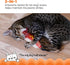Catstages Hotdog Kicker Toy with Catnip and Dental Mesh, Hot Dog Shape, Plush and Feather Cat Toy for Kicking, Tossing