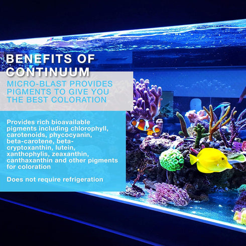 500 ml Micro-Blast - invertebrate food for live corals, Continuum Aquatics Brightwell Aquatics