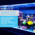 500 ml Micro-Blast - invertebrate food for live corals, Continuum Aquatics Brightwell Aquatics